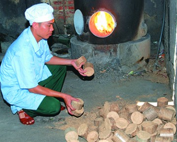 Phát triển thị trường viên nén mùn cưa và lợi ích cho nghề trồng rừng
